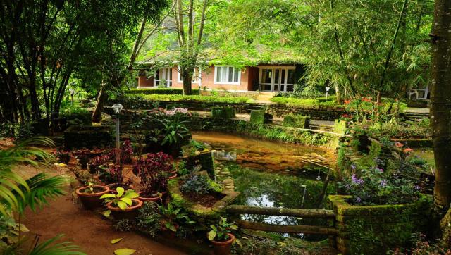Falling Waters Resort photo 36
