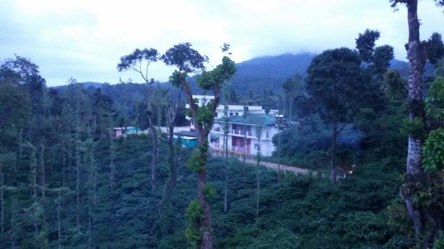 Coffee Country Homestay photo 13