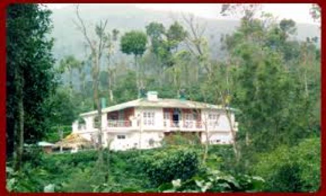 Coffee Country Homestay photo 21