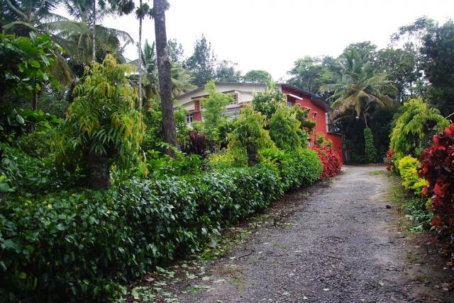 Ashirwad Homestay photo 4