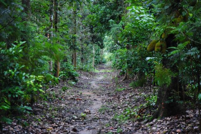 Ashirwad Homestay photo 7