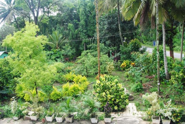 Ashirwad Homestay photo 14