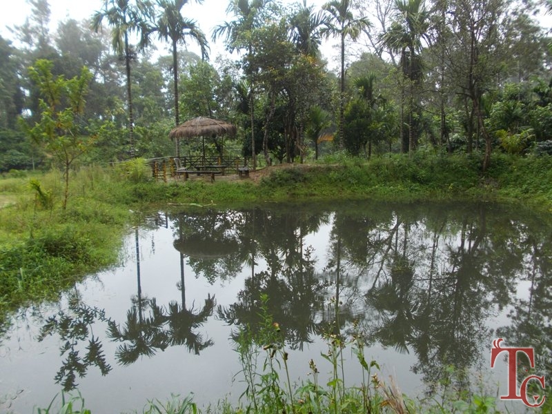 S P Estate Stay photo 8