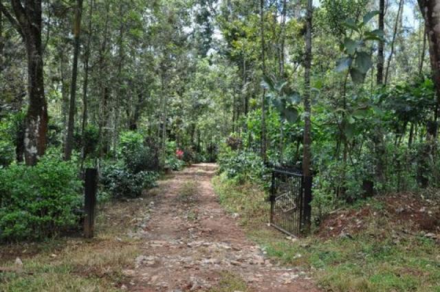 Lalith Homestay photo 2