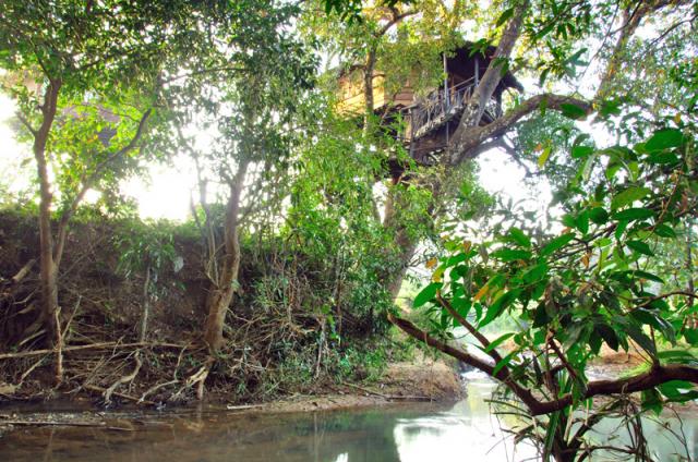 Dandeli Mist Homestay photo 7