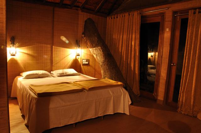 Dandeli Mist Homestay photo 8