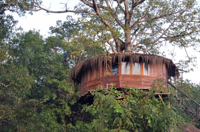 Dandeli Mist Homestay photo 9