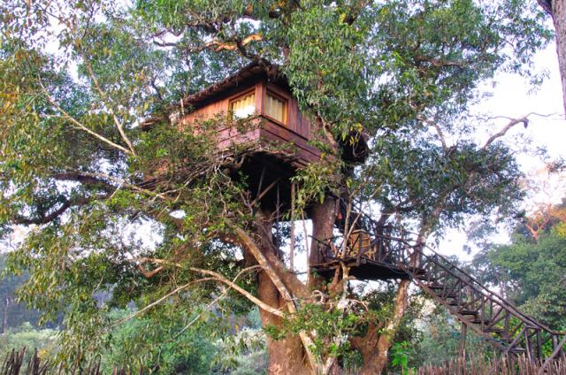 Dandeli Mist Homestay photo 11
