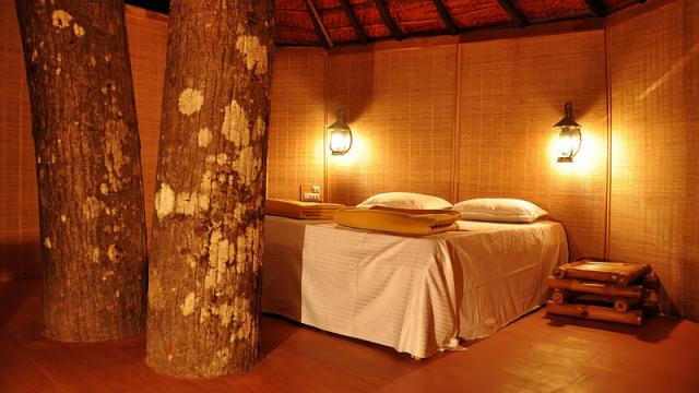 Dandeli Mist Homestay photo 26