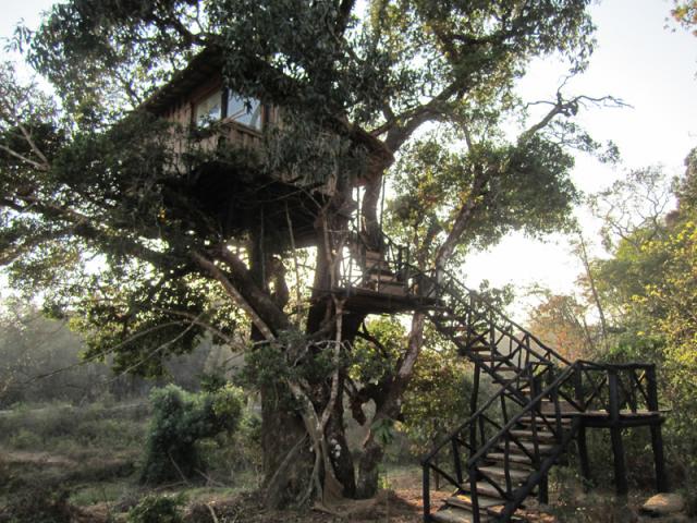 Dandeli Mist Homestay photo 36