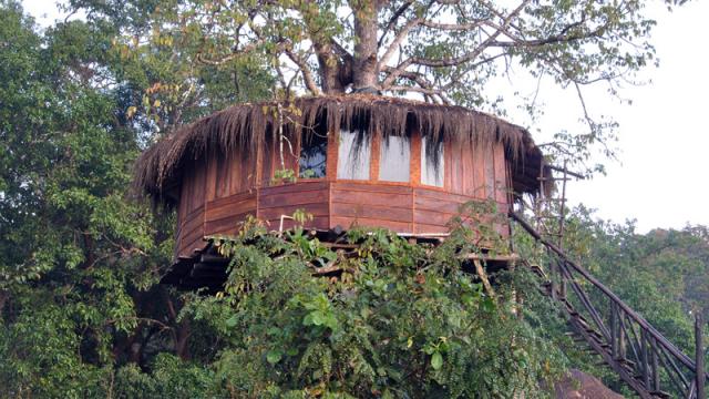 Dandeli Mist Homestay photo 39