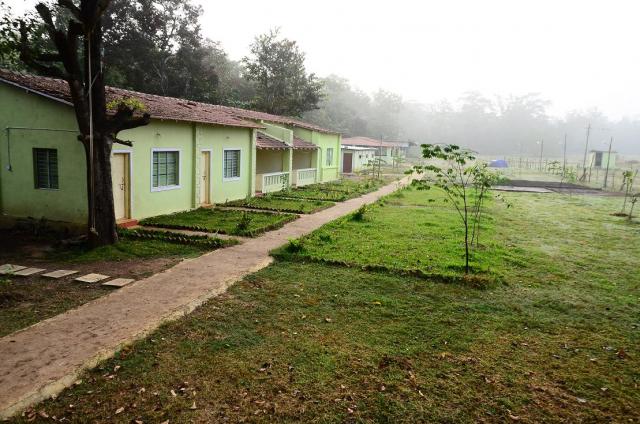 Panther Jungle Stay photo 6