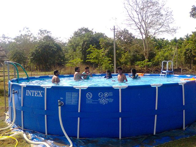 Panther Jungle Stay photo 9