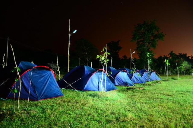 Panther Jungle Stay photo 16