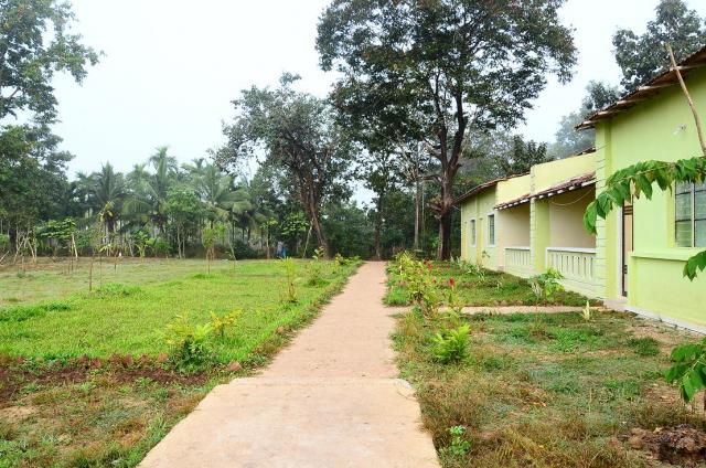 Panther Jungle Stay photo 17
