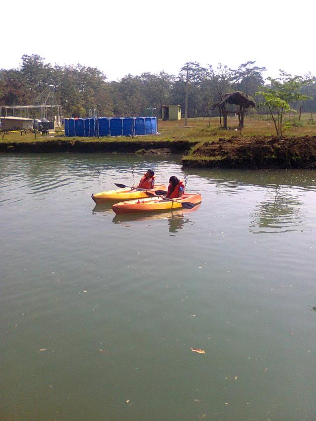 Panther Jungle Stay photo 18