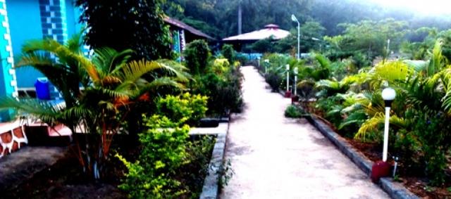 Kingfisher Jungle stay photo 2