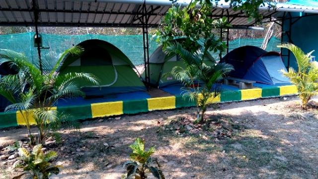 Kingfisher Jungle stay photo 13