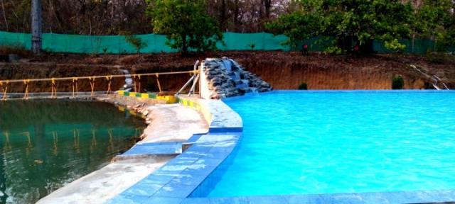 Kingfisher Jungle stay photo 31