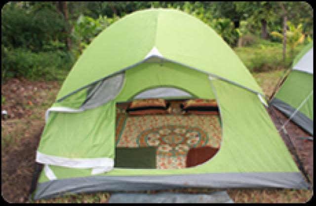 Wild Craft Homestay photo 3
