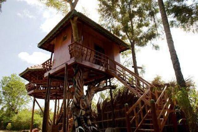 Bird of Paradise Homestay photo 3