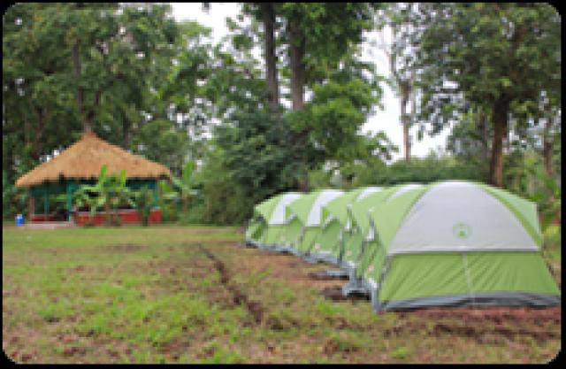 Wild Craft Homestay photo 9
