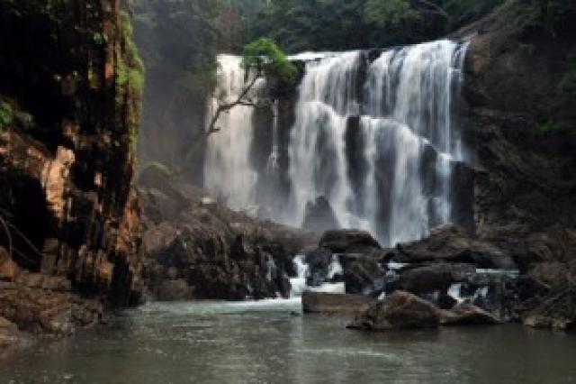 Dandeli Dreams Homestay photo 5