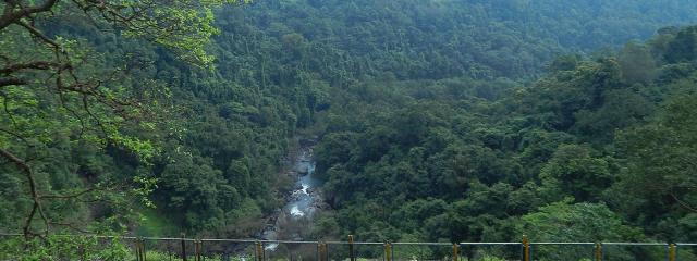 Dandeli Dreams Homestay photo 8