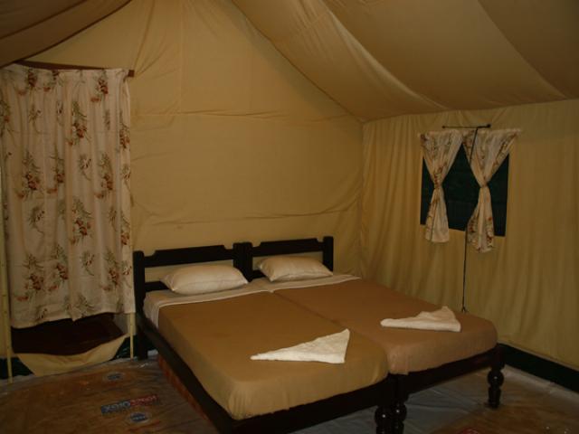 Hornbill River Resort photo 2