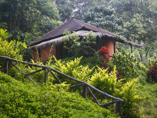 Hornbill River Resort photo 3