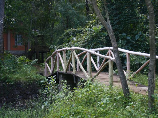 Hornbill River Resort photo 5