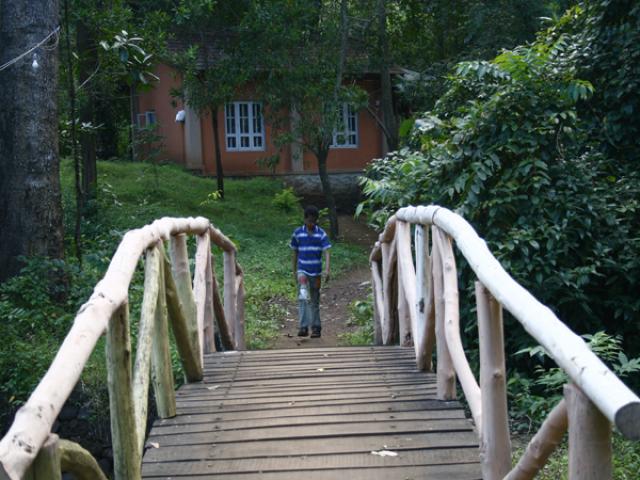 Hornbill River Resort photo 7