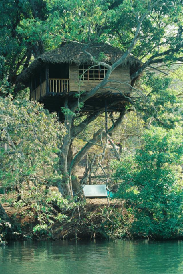 Hornbill River Resort photo 8