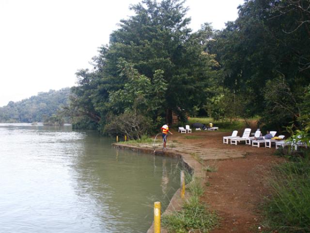 Hornbill River Resort photo 10