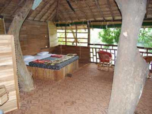 Hornbill River Resort photo 12