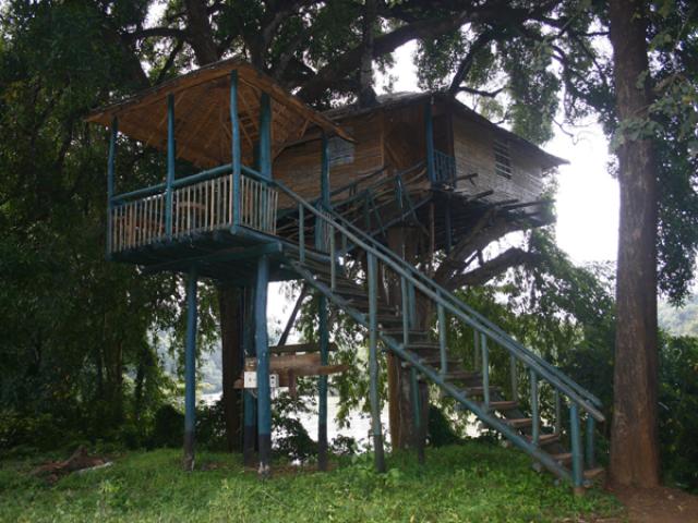 Hornbill River Resort photo 13