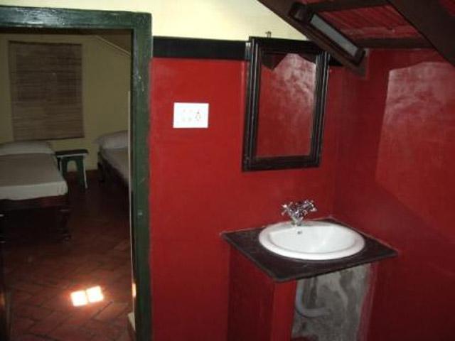 Bird of Paradise Homestay photo 7