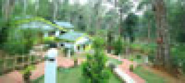 Woodpecker Resort photo 9
