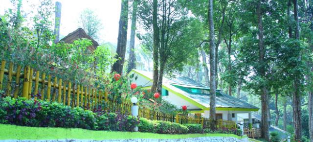 Woodpecker Resort photo 15
