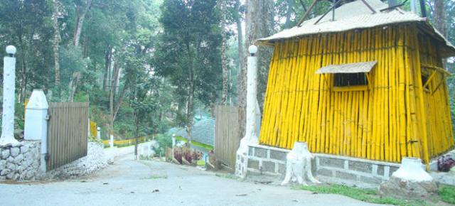Woodpecker Resort photo 17