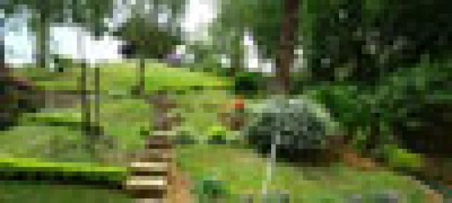 Woodpecker Resort photo 18