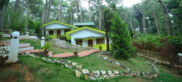 Woodpecker Resort photo 19