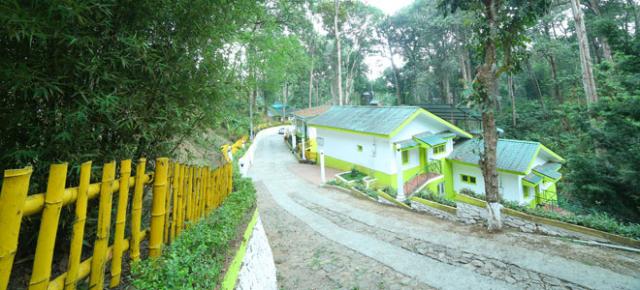 Woodpecker Resort photo 22
