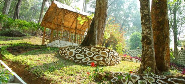 Woodpecker Resort photo 24
