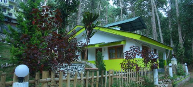 Woodpecker Resort photo 25