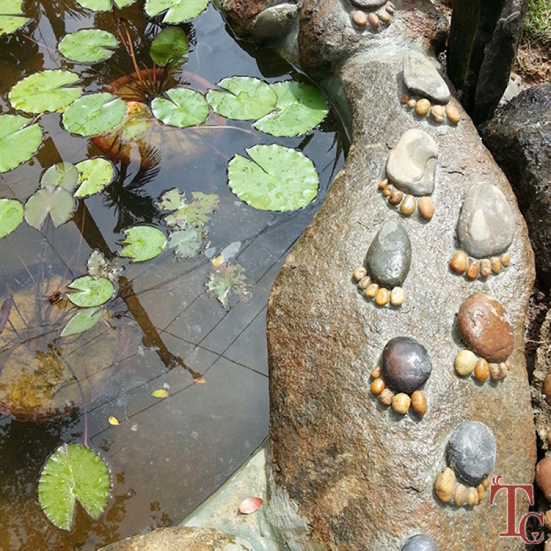 Muudana Mane Homestay photo 2