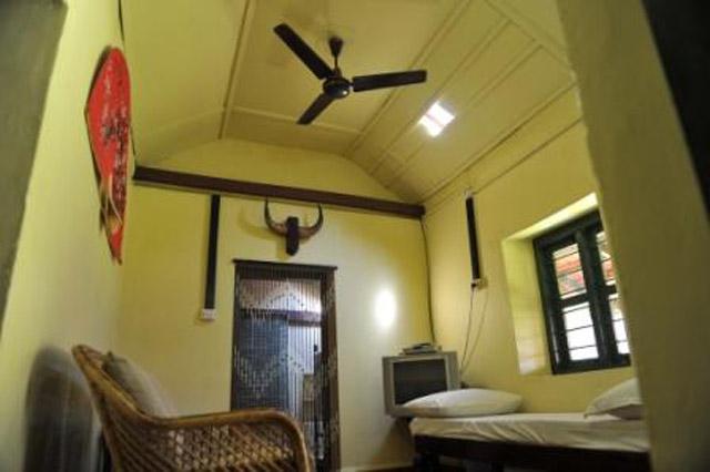 Bird of Paradise Homestay photo 17