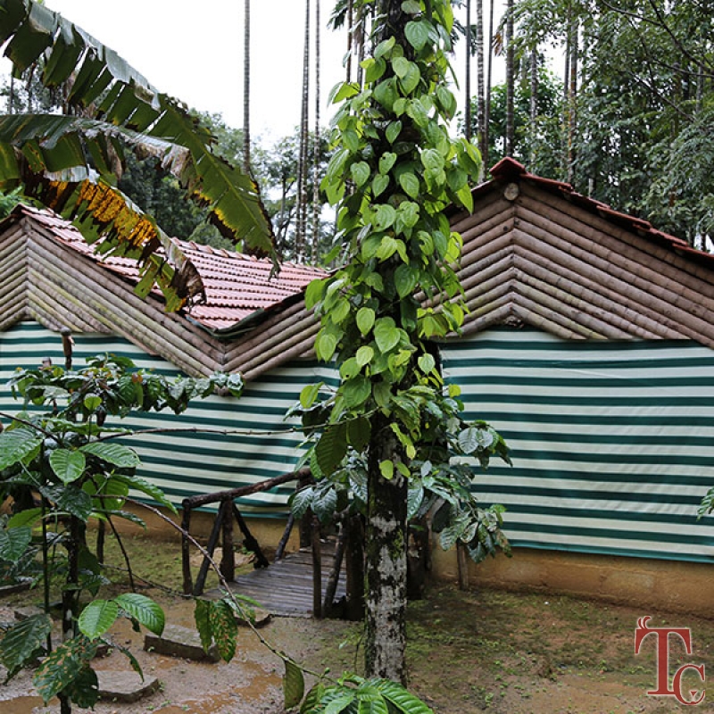Muudana Mane Homestay photo 31