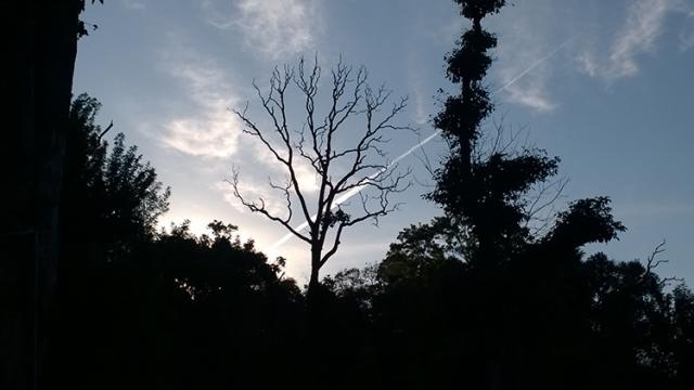 Pavana Ganga Homestay photo 4