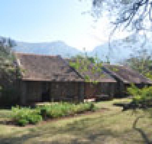 Blue Valley Jungle Resort photo 5
